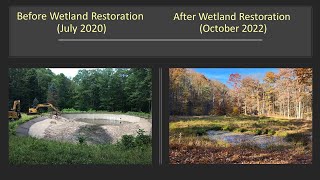 VP PART 3. Wetland Restoration Techniques