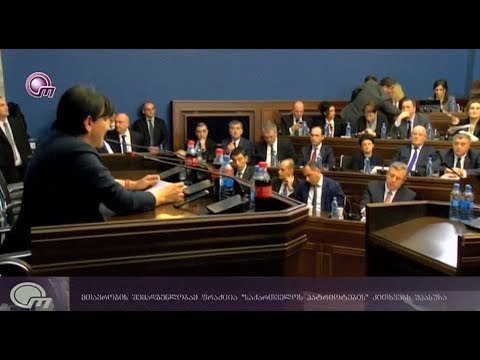 რა კითხვები აქვთ „საქართველოს პატრიოტებს“ მთავრობასთან