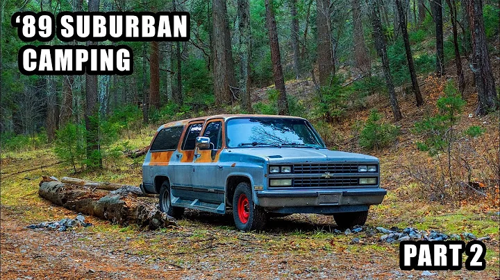 Burb Camping in the Forest