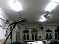 الدكتور الشيخ تامر الرفاعى