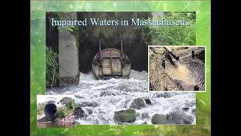 Vulnerable Wetlands part 2