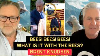 BEES! BEES! BEES! What Is It With The BEES? The Mark Attwood Show