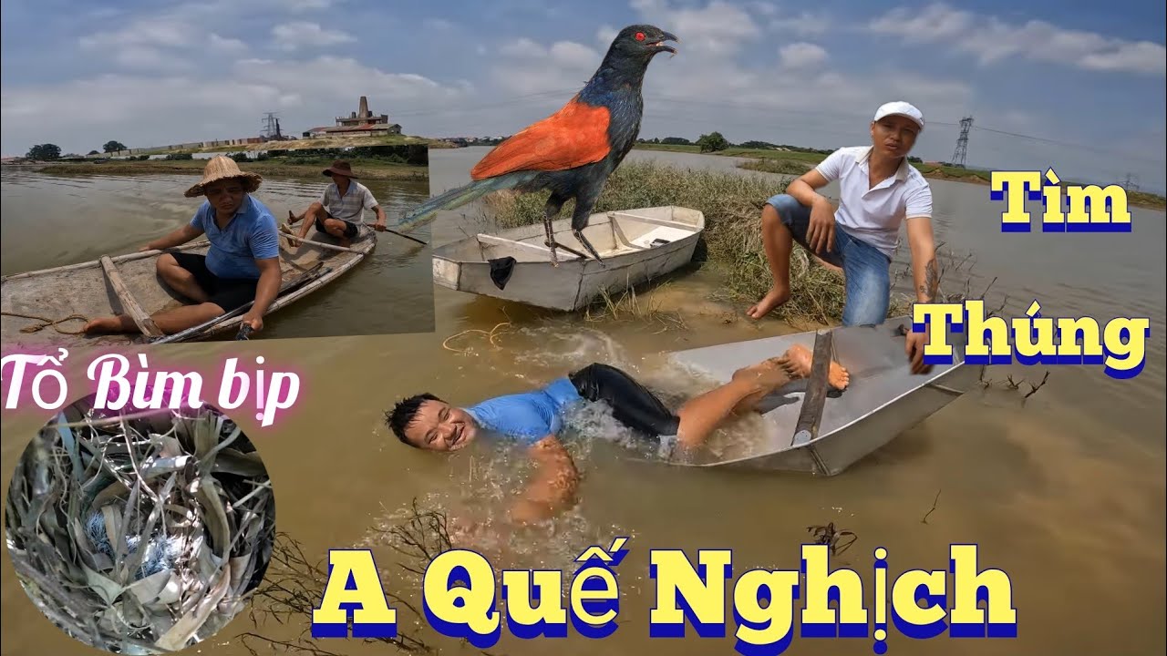 Cùng A Quế Nghịch Tìm Thúng Bơi Đi Mí Bố Thăm Tổ Chim Bìm bịp  /Nhân Tạ Mốt