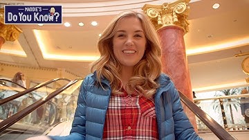 How do Escalators work? Maddie