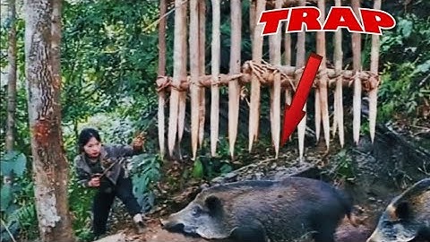 Primitive pig trap that works... Survivel
