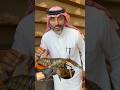 توينا للماكولات البحرية في الرياض وجده