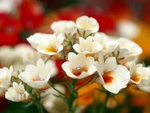 نشيد بك أستجير راااائعة جدا