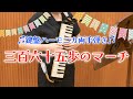 【鍵盤ハーモニカ】三百六十五歩のマーチ/水前寺 清子（鍵盤ハーモニカ両手弾き）