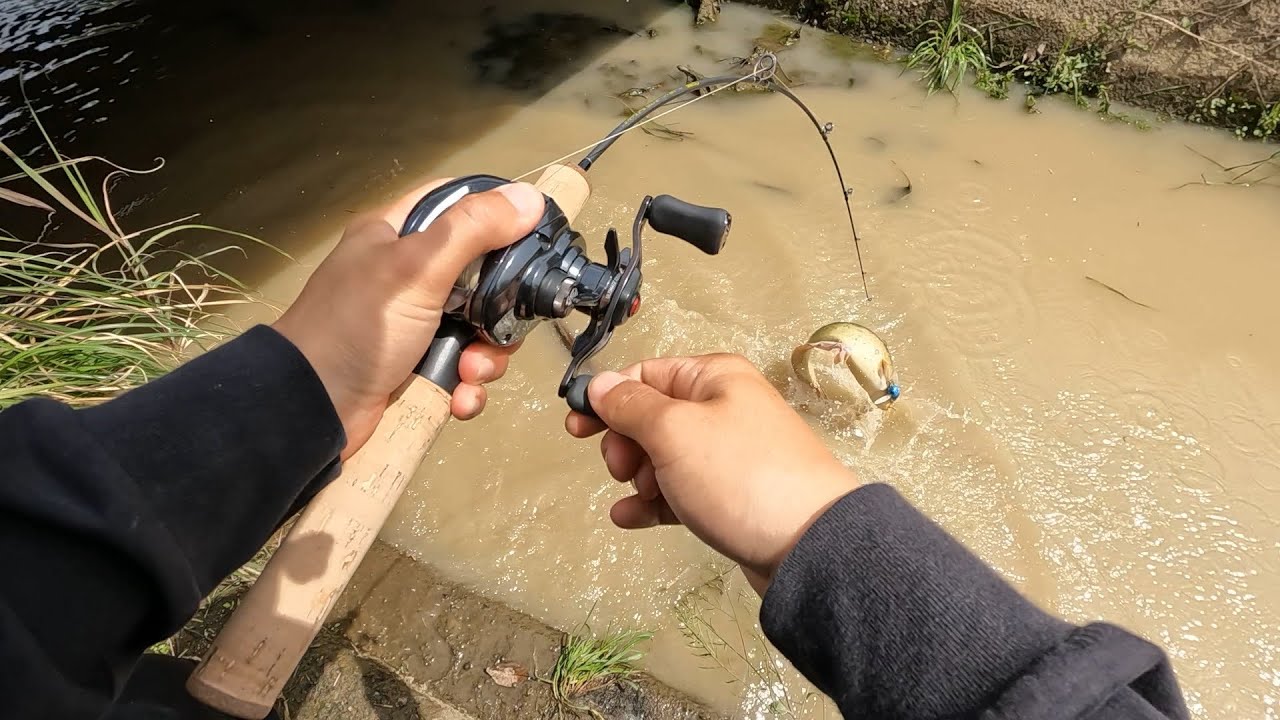 鱒レンジャーぶち曲がり！【ナマズ釣り】