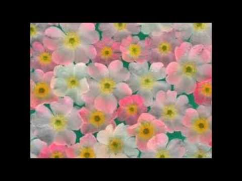 საზაფხულო