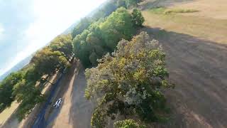 FPV Tree Flow