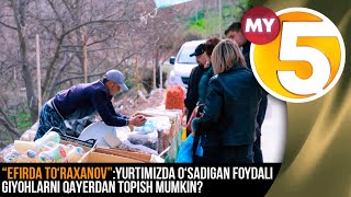 “Efirda To‘raxanov” Ko'rsatuvi | Yurtimizda O'sadigan Foydali Giyohlarni Qayerdan Topish Mumkin?