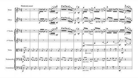 Tchaikovsky - The Nutcracker Suite Op.71a 7. Danse des Mirlitons arr. Glynn Davies for Inventi