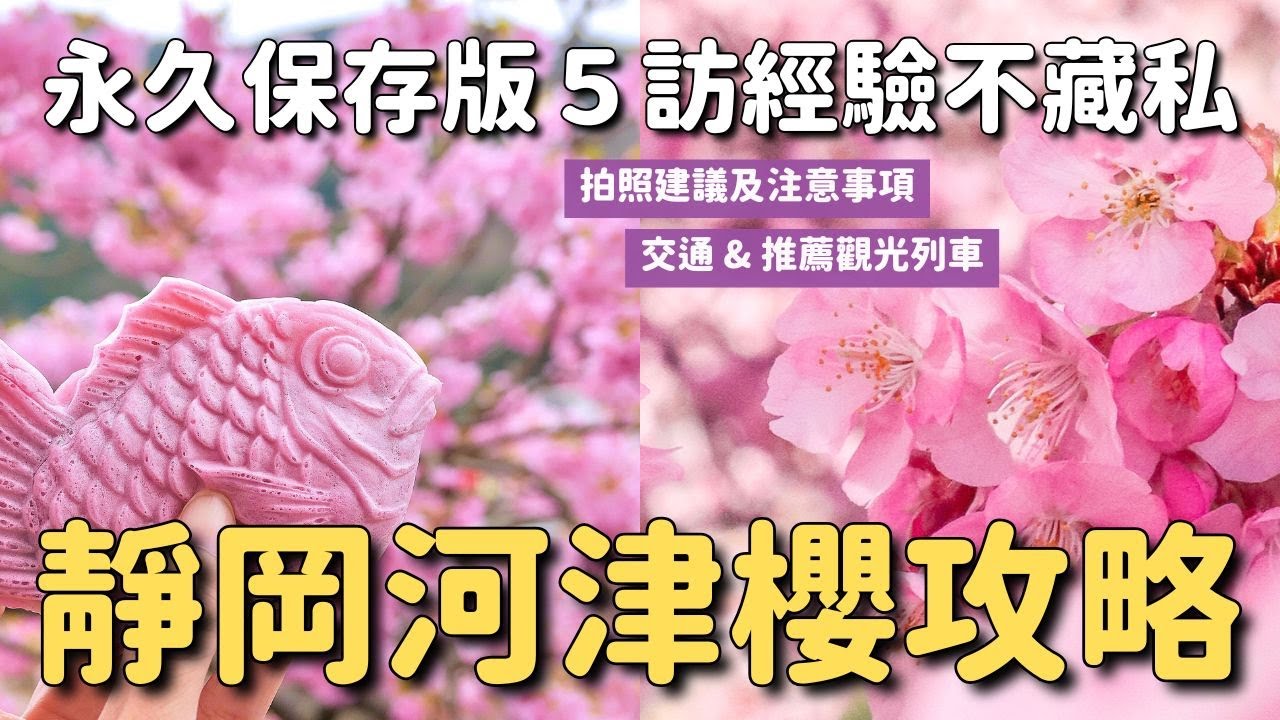 【永久保存版】靜岡伊豆河津櫻攻略🌸 5訪經驗全分享 何時滿開？交通方法？必去必吃？夜櫻？注意事項