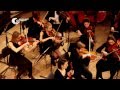 Sibelius Symphony No 2 in D Major Op. 43 (2nd MOV extracts)