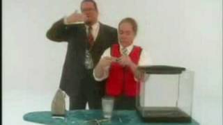 Debunking Recycling Paper (P&T Segment) Debunking Recycling Paper (P&T Segment)