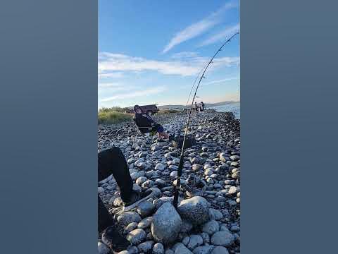 salmon plunking columbia river #shorts #salmon #fishing #fyp - YouTube