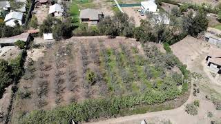 Olmué campo lindo sobrevuelo condiciones parcela