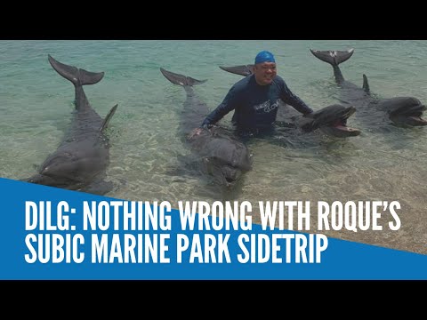 DILG: Nothing wrong with Roque’s Subic marine park sidetrip