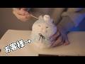 ぬいぐるみを本気でお客様だと思ってマッサージと耳かきする動画