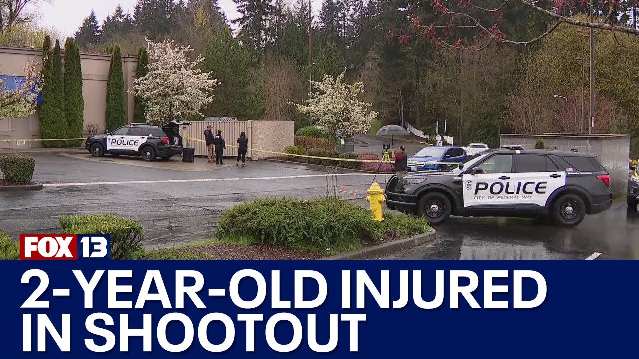 2-year-old critically injured in Federal Way shooting | FOX 13 Seattle ...