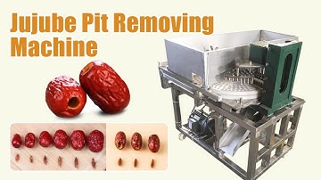 How to remove jujube pit fast? Palm Date Pitting Machine with Good Performance and Prices #jujube