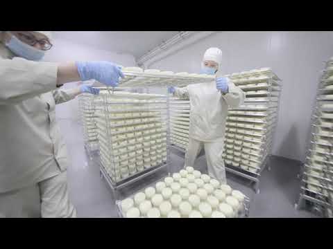 Как производят сыр с плесенью. Завод White Cheese From Zhukovka.