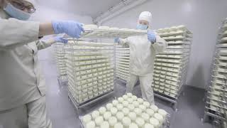 Как производят сыр с плесенью. Завод White Cheese From Zhukovka.
