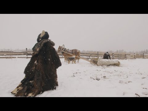 Видео: Гаагаар дүүргэсэн шоколадтай хүрэн