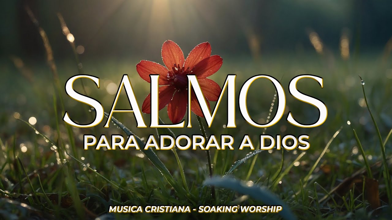 SALMOS CANTADOS 🙏 | Para ADORAR a DIOS en INTIMIDAD 🌿 | Presencia, Paz y Devoción