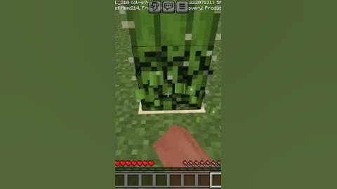 cactes drop in end portal 😈