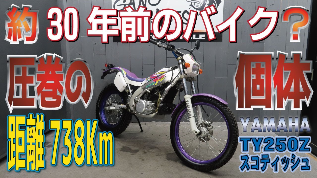 極上激レア】ヤマハTY250Zスコティッシュ！奇跡的な保管状況にビックリ