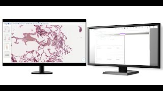 クラウド病理システム　PathPresenter　について