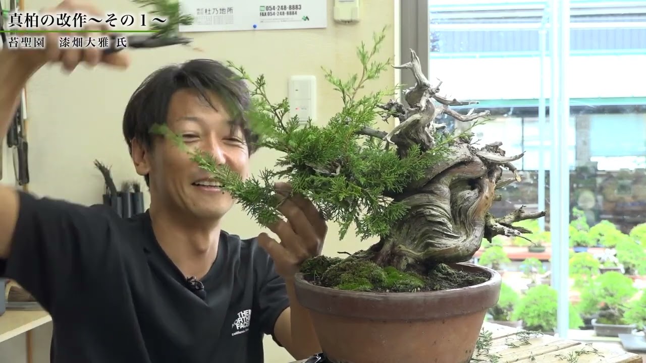 真柏の改作〜その１〜｜漆畑大雅