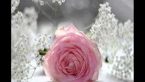 ما تيسر من سورة التوبة آية 17 - عبدالرزاق القدسي ..