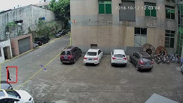 IP Camera Video Analytics Region of Interest (ROI)/Guarding Region Demo