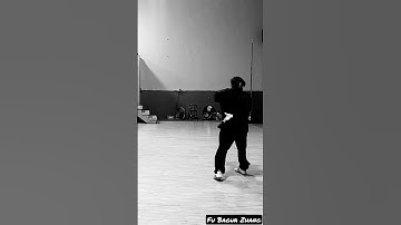 The BEST Kung Fu style of BaGua! #kungfu #shorts #training #baguazhang #best