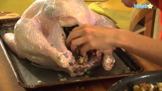 Check out bas rutten's liver shot on mma surge:
http://bit.ly/mmasurgeep1
http://www.mahalo.com/how-to-make-turkey-stuffing are you looking for
a great turke...