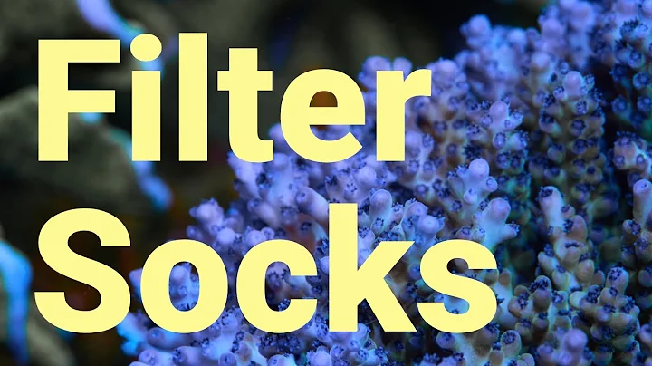 Filter Socks, Microfibers, and the Ocean