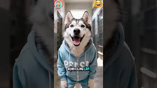 CHÓ CON CHẾ TẠO SIÊU ROBOT BIẾN HÌNH VÀ CÁI KẾT #thichtuy #funny #chocon #gacon #robot