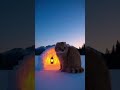 Cat Builds a Snow House