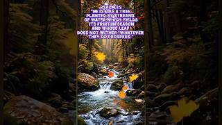 #Jesus#ChristianFaith#BibleDaily#GodIsLove#shortsviral#FaithOverFear#Bible#viral#christianreels