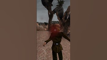 Killing the adoring fan in Morrowind every day until Skywind and Skyblivion are released Day - 924