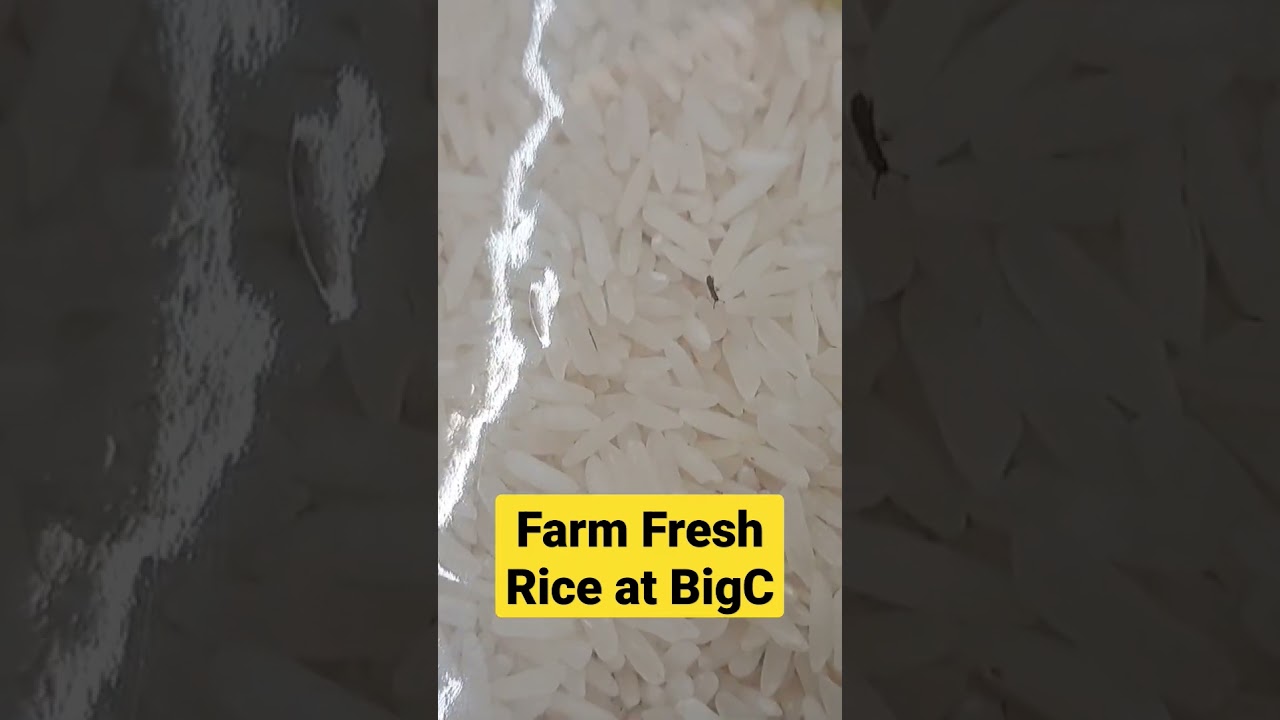 Rice With Added Protein at BigC 