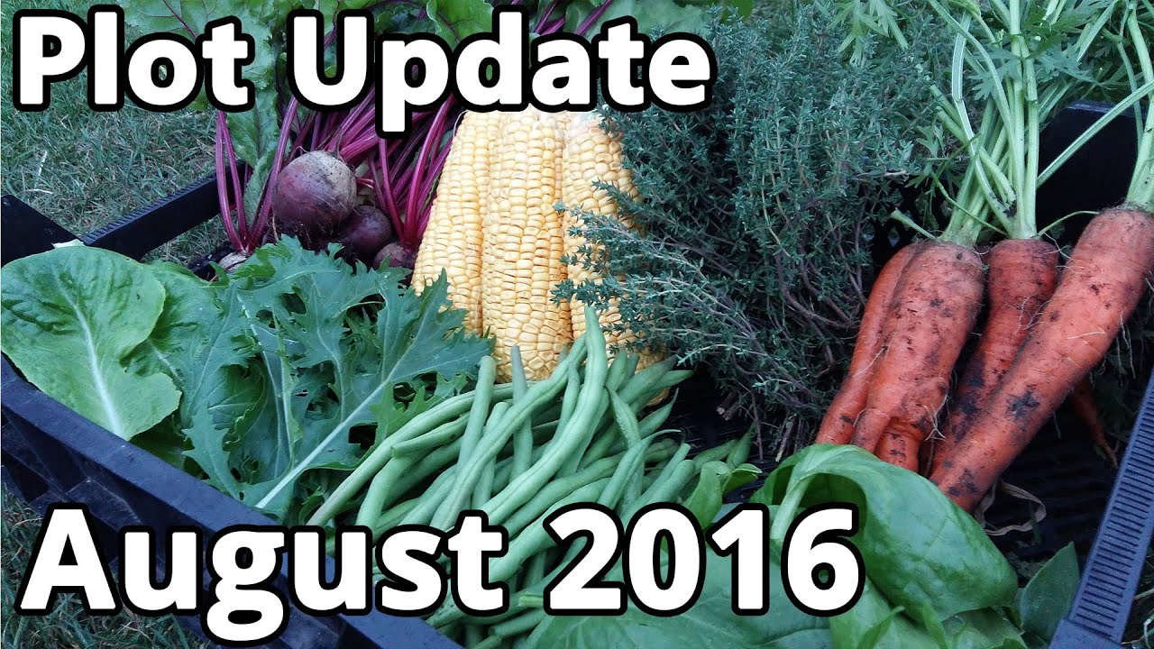 Plot Update August 2016 - YouTube