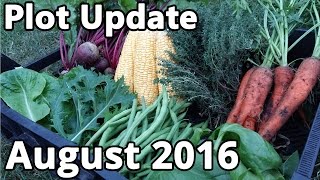 Plot Update August 2016