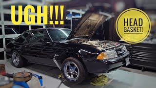 Blown Head Gasket Denial on this 1993 Ford Mustang - The Curse of the Black Foxbody Continues...