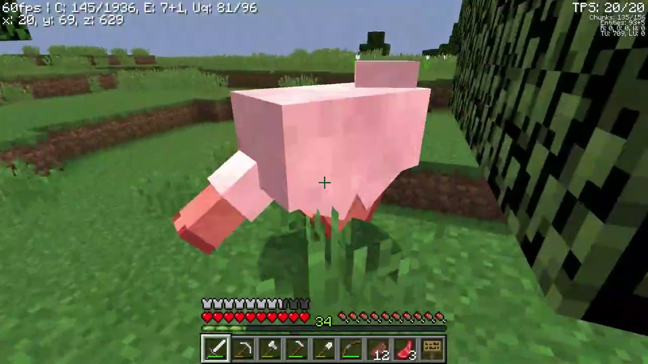 Just normal minecraft gameplay part 3: back to my world