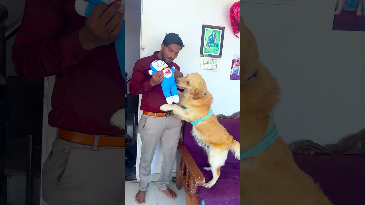कौन दोस्त नहीं है मेरे डॉगी का😱 #funnydogs #shorts
