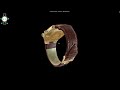 Watch 3D Configurator | Unity | Modeling| Texturing| C# | Product Designing | Dynamic| visualization